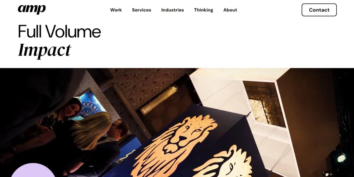 amp - startup digital marketing agencies in the USA