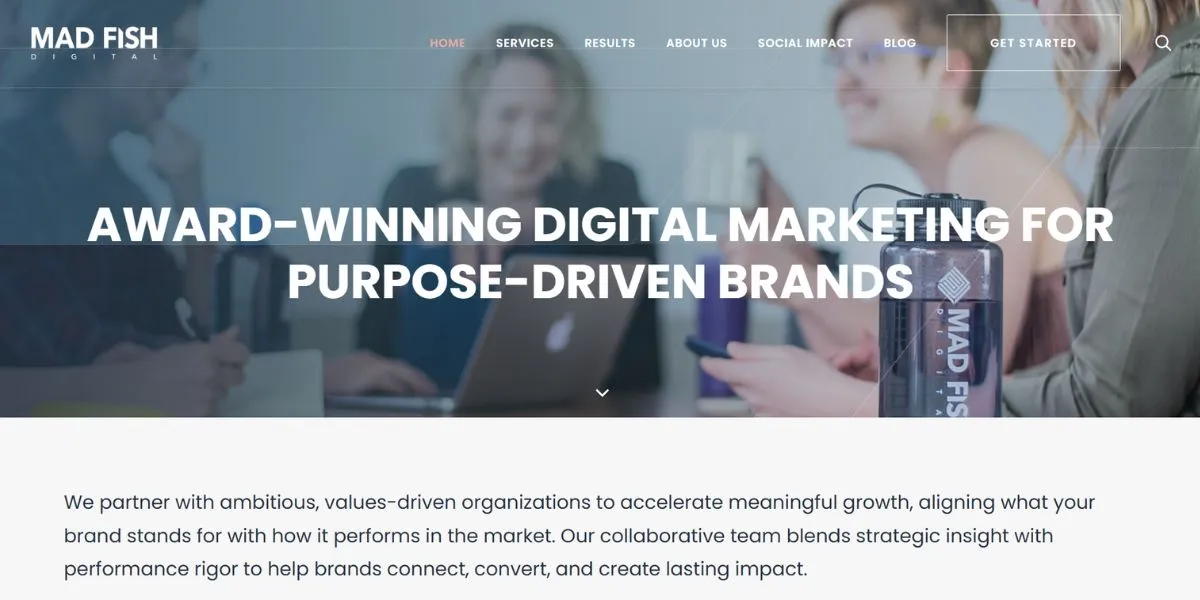 mad fish - startup digital marketing agencies in the USA